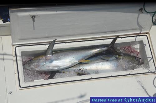 Click to Enlarge Photo