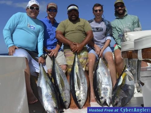 Click to Enlarge Photo