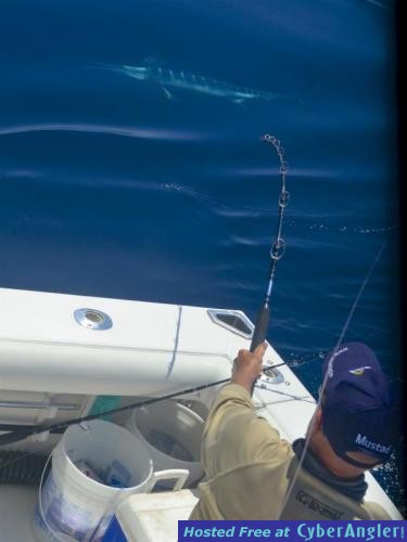 Click to Enlarge Photo