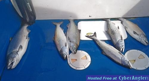 Click to Enlarge Photo