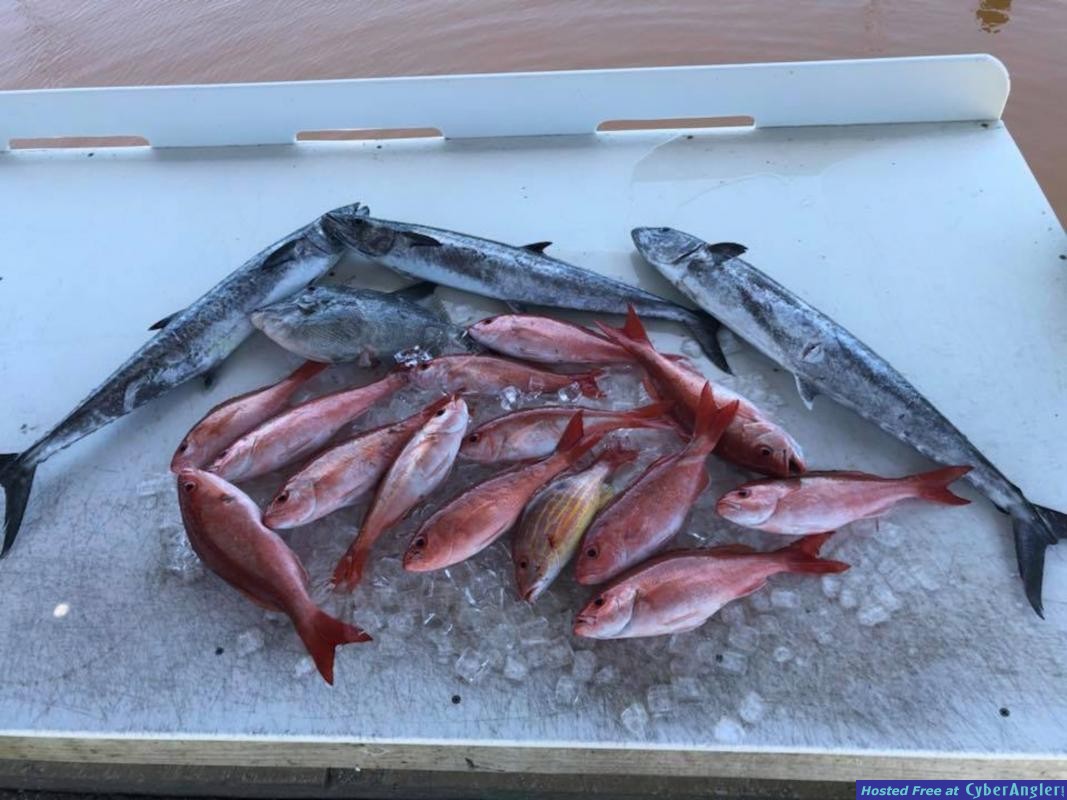 ponce_inlet_offshore_deep_sea_fishing_trips