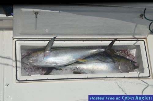 Click to Enlarge Photo