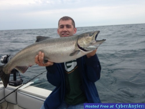 25.5 King
