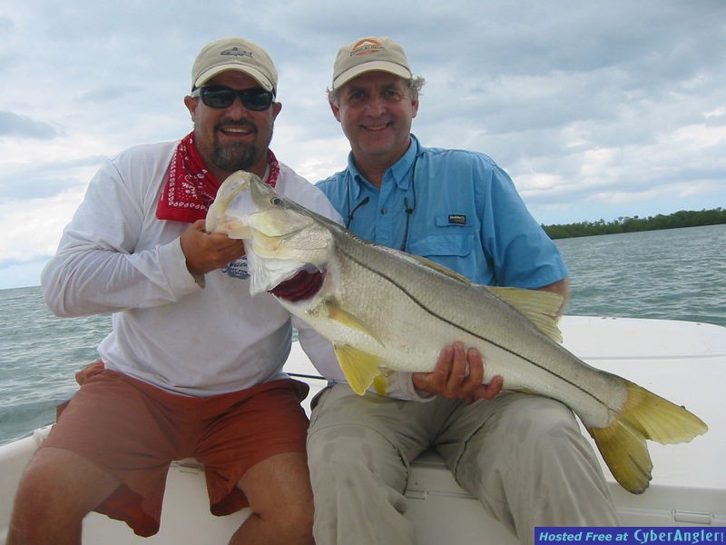 Snook