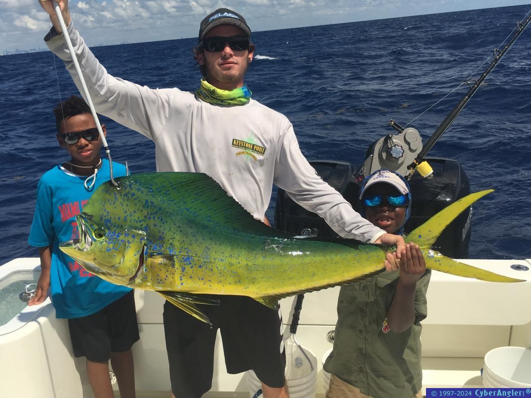 bull_Mahi