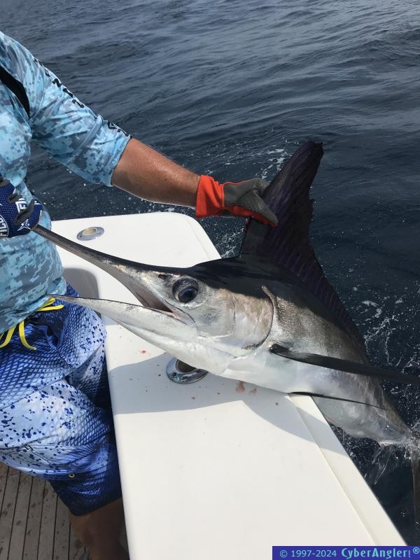 Click to Enlarge Photo