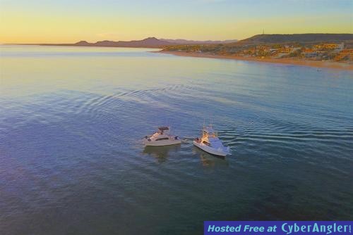 Click to Enlarge Photo