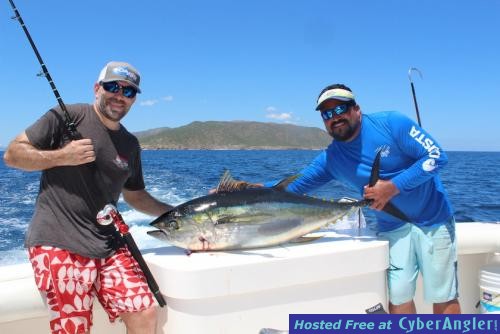 Click to Enlarge Photo