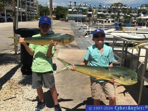 Click to Enlarge Photo