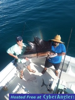 Sailfish_North_Carolina2__1_