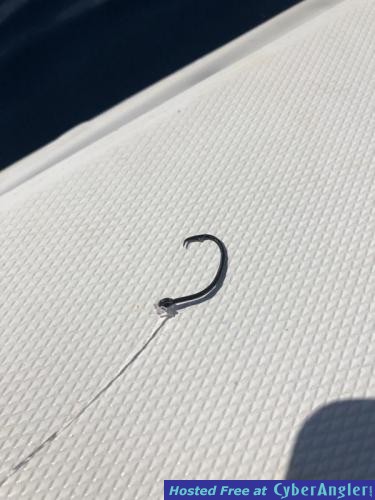 Click to Enlarge Photo