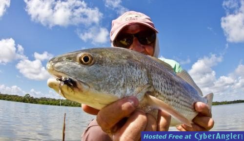 Click to Enlarge Photo