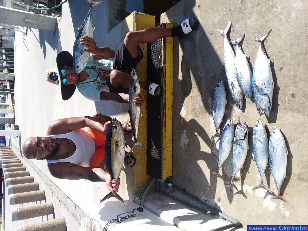 sailfish_luis