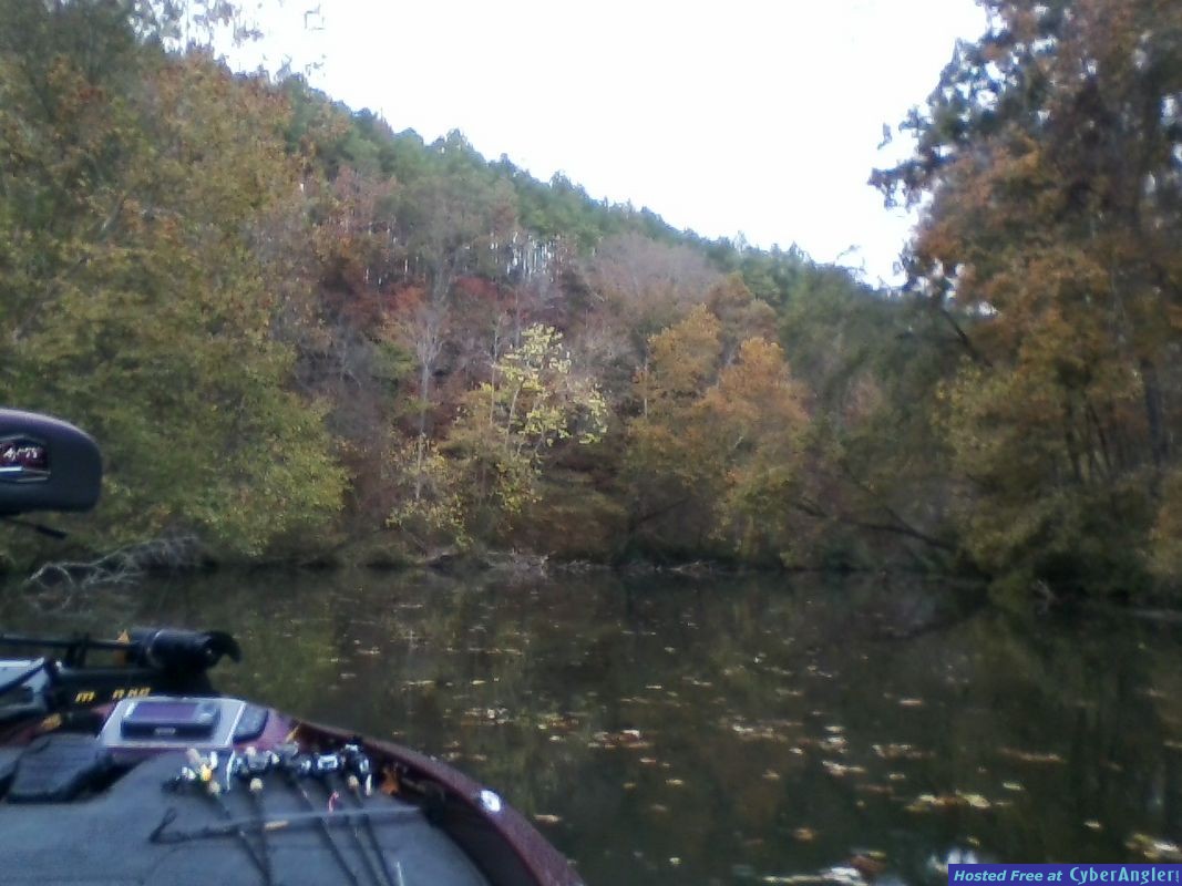 Backs of creeks in the fall!