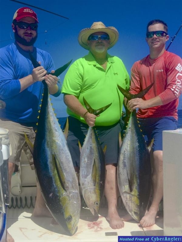 Click to Enlarge Photo