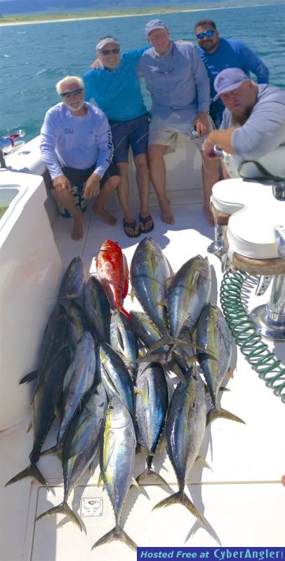 Click to Enlarge Photo