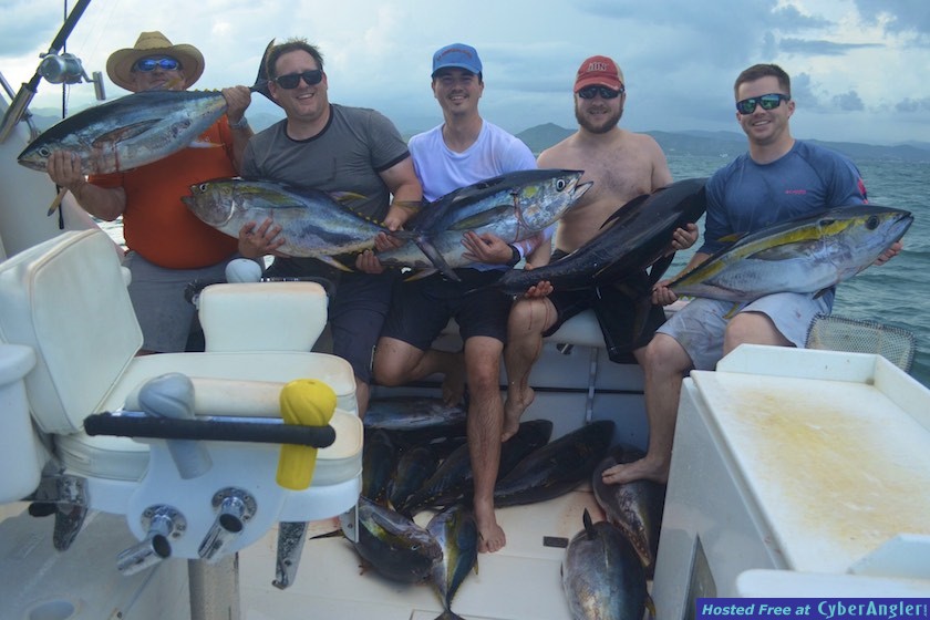 Click to Enlarge Photo