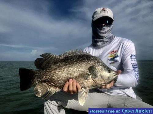 Click to Enlarge Photo