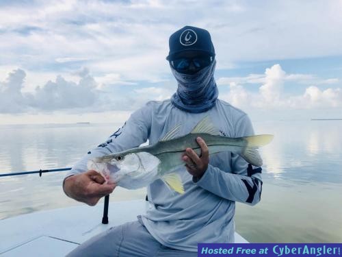 Click to Enlarge Photo