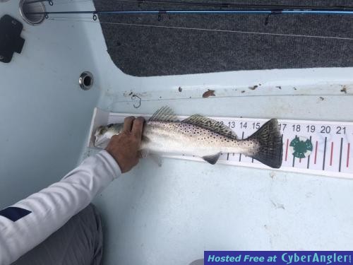 Click to Enlarge Photo