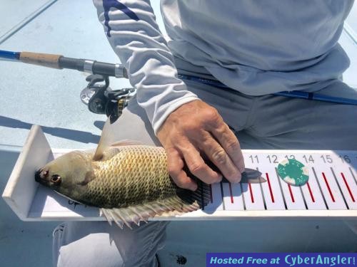 Click to Enlarge Photo