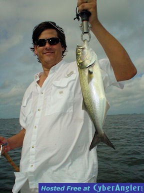David Sugar's Sarasota Bay CAL jig bluefish