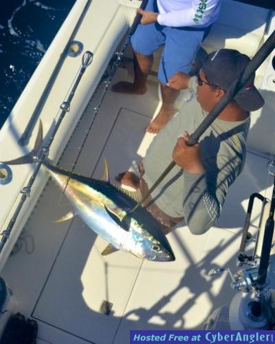 Click to Enlarge Photo