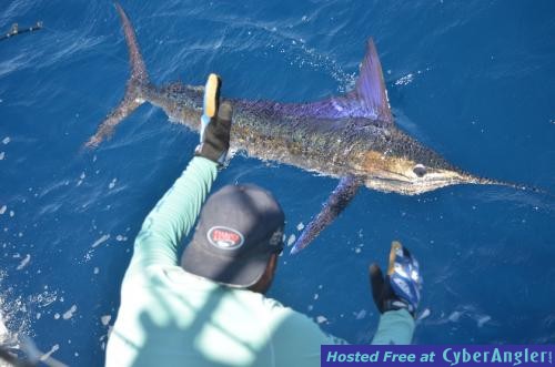 Click to Enlarge Photo