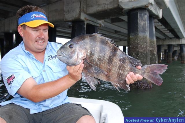 Capt. Jot's Nice Sheephead