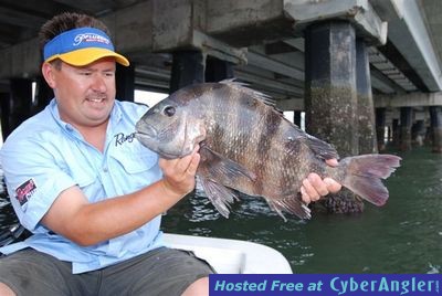 Capt. Jot's Nice Sheephead