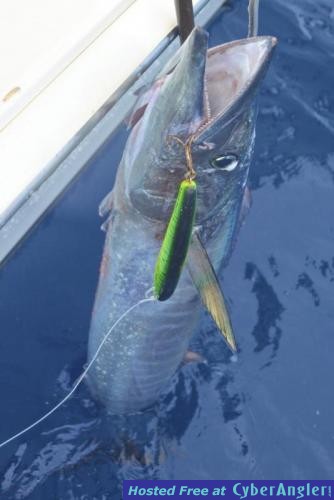 Click to Enlarge Photo