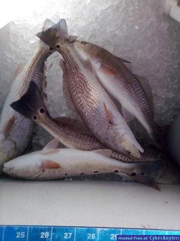 fishing_charters_pensacola_beach_5