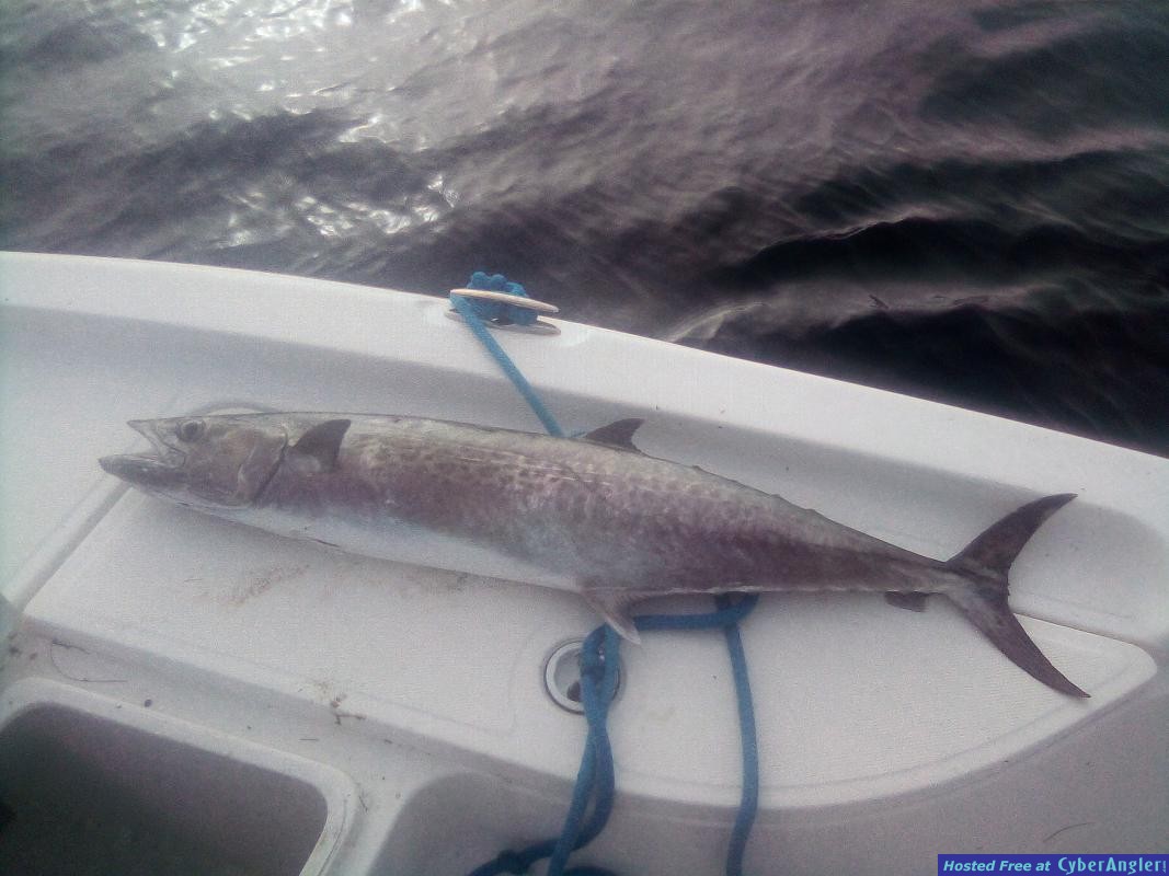 fishing_charters_pensacola_beach_6