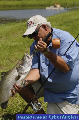 Click to Enlarge Photo