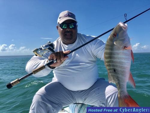 Click to Enlarge Photo