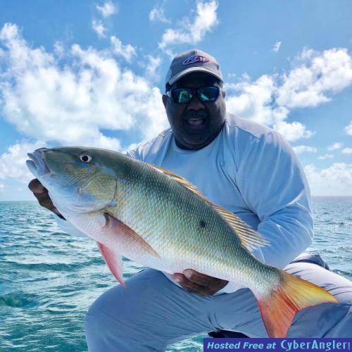 Click to Enlarge Photo