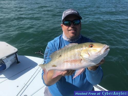 Click to Enlarge Photo