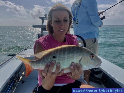 Click to Enlarge Photo