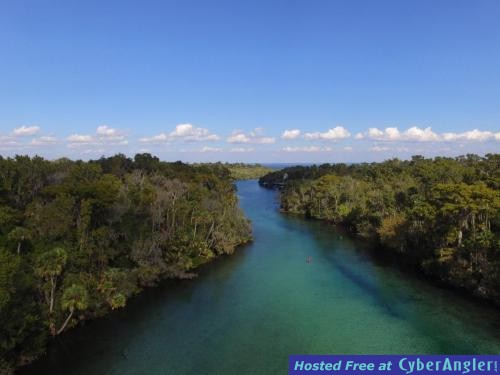 central_florida_airboat_tours_st_johns_river__3_