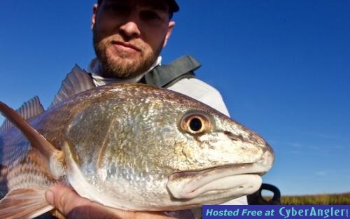 redfish_conneen