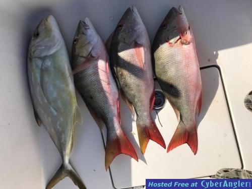 Click to Enlarge Photo