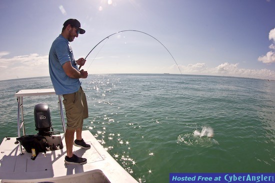 Click to Enlarge Photo