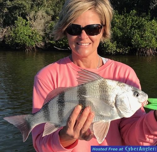 Click to Enlarge Photo