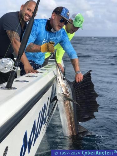 Click to Enlarge Photo