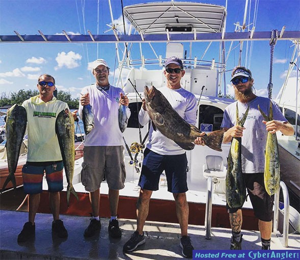 mahi_grouper