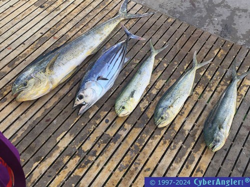 Click to Enlarge Photo