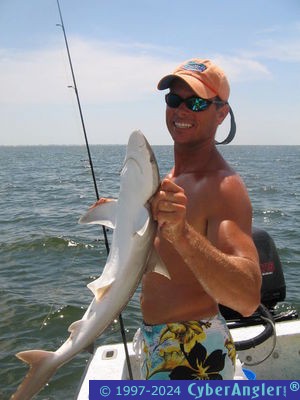 Click to Enlarge Photo