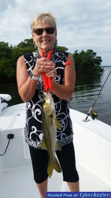 Click to Enlarge Photo