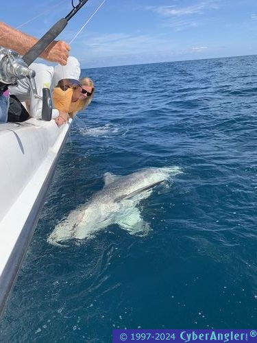 Click to Enlarge Photo