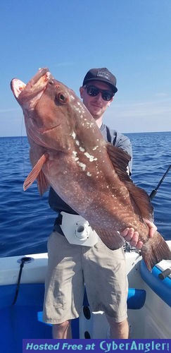 Click to Enlarge Photo